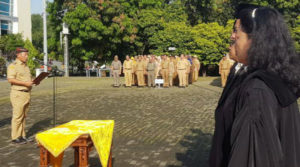 dewan transportasi kota