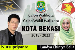 calon walikota