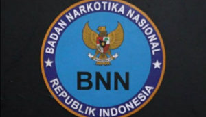 BNN