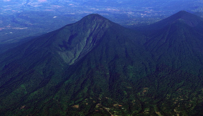 Kawasan Hutan Gunung Batukaru Tabanan Bali Terbakar - Transindonesia.co