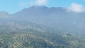 Kebakaran Hutan Jatim