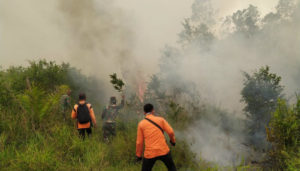 Pembakaran Lahan Palangka Raya