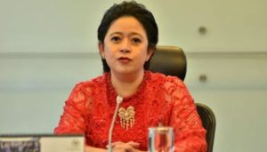 Puan Maharani Ketua DPR
