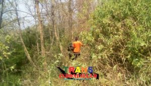 Hutan Gunung Welirang