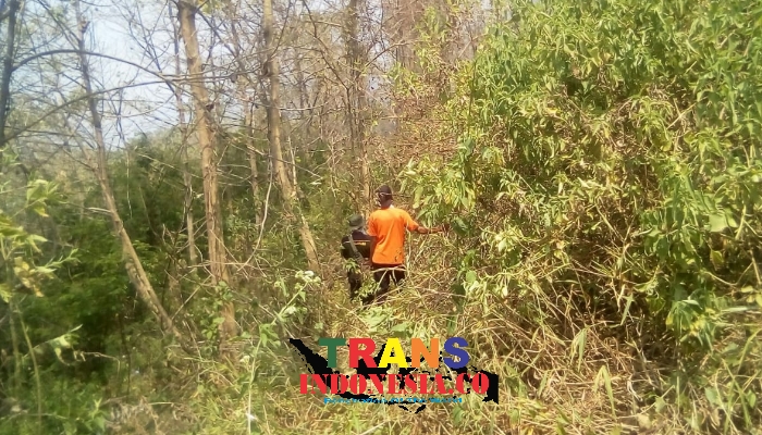 Hutan Gunung Welirang
