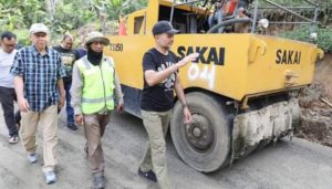 Wagub Sumut Musa Rajekshah