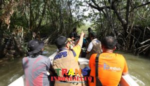 Konservasi Mangrove Bangka