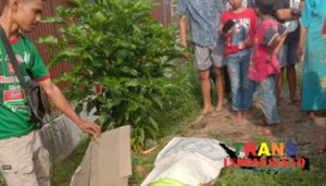 Kereta Railink Bandara Kualanamu