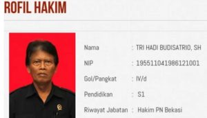 Hakim Tri Hadi Budisatrio