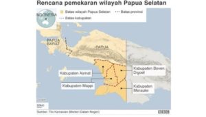 Pemekaran Papua Selatan