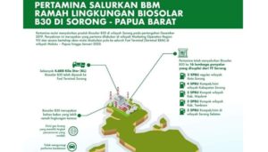 Pertamina Papua