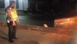 Pemotor Purworejo Tewas