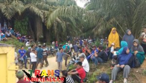 Eksekusi Kebun Sawit