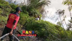 Suaka Margasatwa Giam Siak