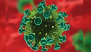 Virus Novel Coronavirus