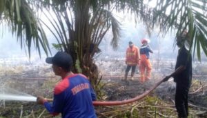 Kebakaran Hutan Riau