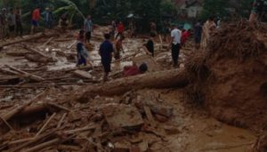 Longsor Timbun Bogor