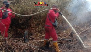 Lahan Gambut Terbakar