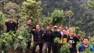 Ladang Ganja Bengkulu