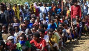 Pengungsi Tigray Kelaparan