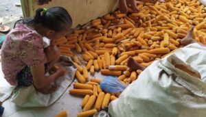 Opung Burju Ibunda Pardamean Hutahean