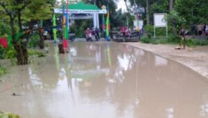 Banjir Pidie Aceh