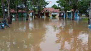 Banjir Pekalongan