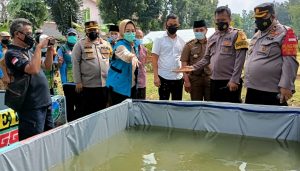 Walikota Tangerang Selatan