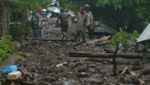 Bandang Flores Timur