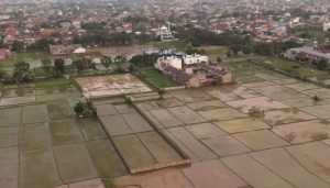 Sawah Kota