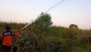 Lahan Terbakar Ogan Ilir