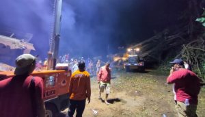 Pohon Kepahiang Tumbang