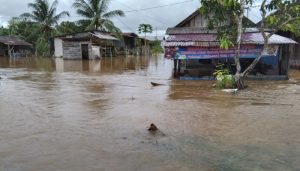 Banjir Kutai Kartanegara