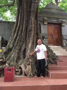 Chryshnanda Dwilaksana Pohon Besar