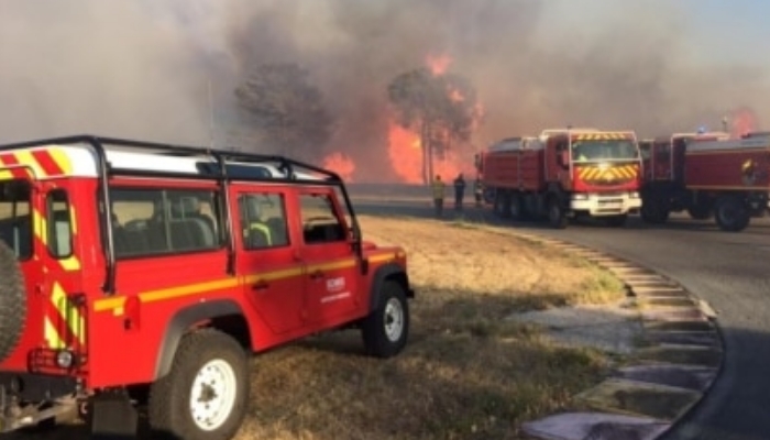 Hutan Perancis Selatan