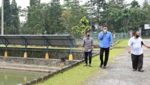 Ikan Purwakarta