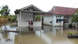 Banjir Luwu Utara