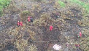 Hutan Indragiri Hulu