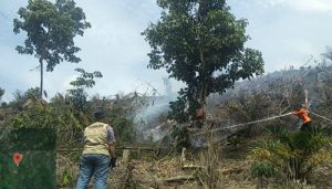 Kebakaran Lahan Kampar