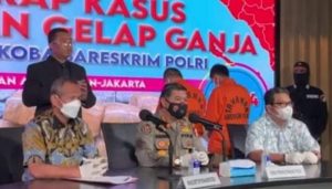 Jaringan Ganja Provinsi
