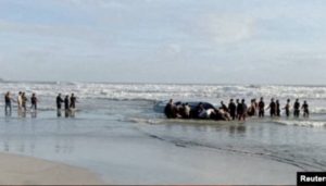 Perahu Migran Indonesia