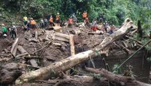 Angin Pemalangan