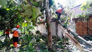 Angin Grobogan