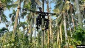 Skuter Panjat Pinang