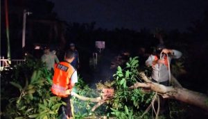 Angin Puting Beliung Binjai