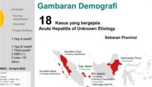 Kasus Hepatitis
