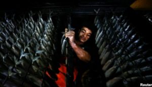 Ikan Asin Afghanistan