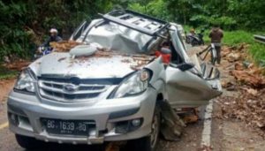 Mobil Tertimpa Pohon