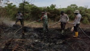 Lahan Rohil Terbakar