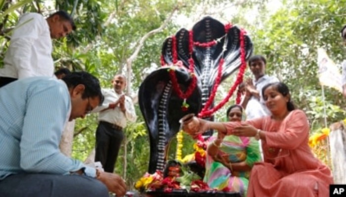 Festival Ular
